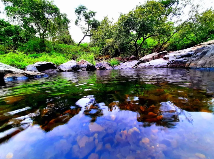 Shilonda Trail, Mumbai Suburban, Maharashtra - Vushii.com